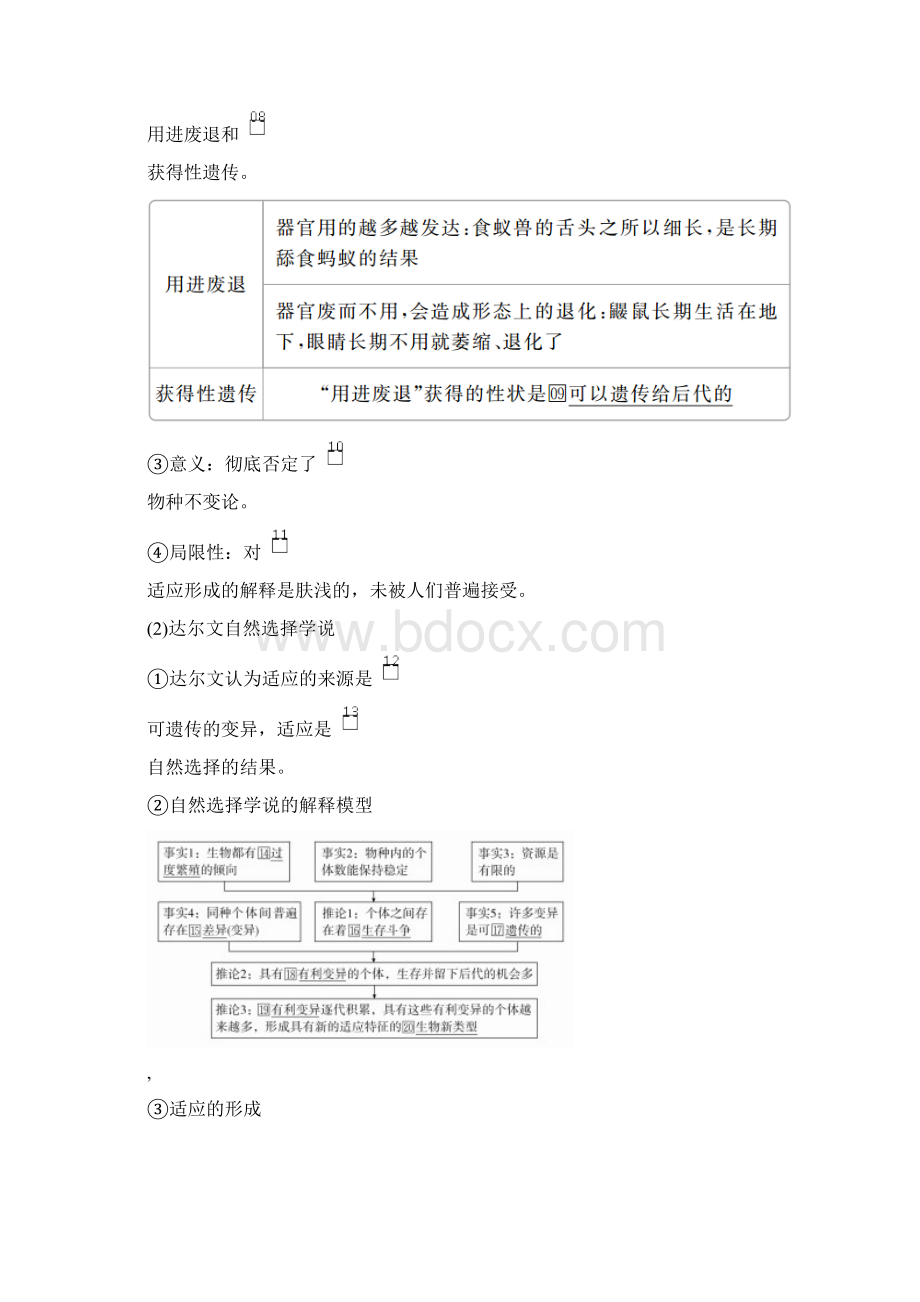 高中生物新教材《自然选择与适应的形成》导学案+课后练习题.docx_第2页