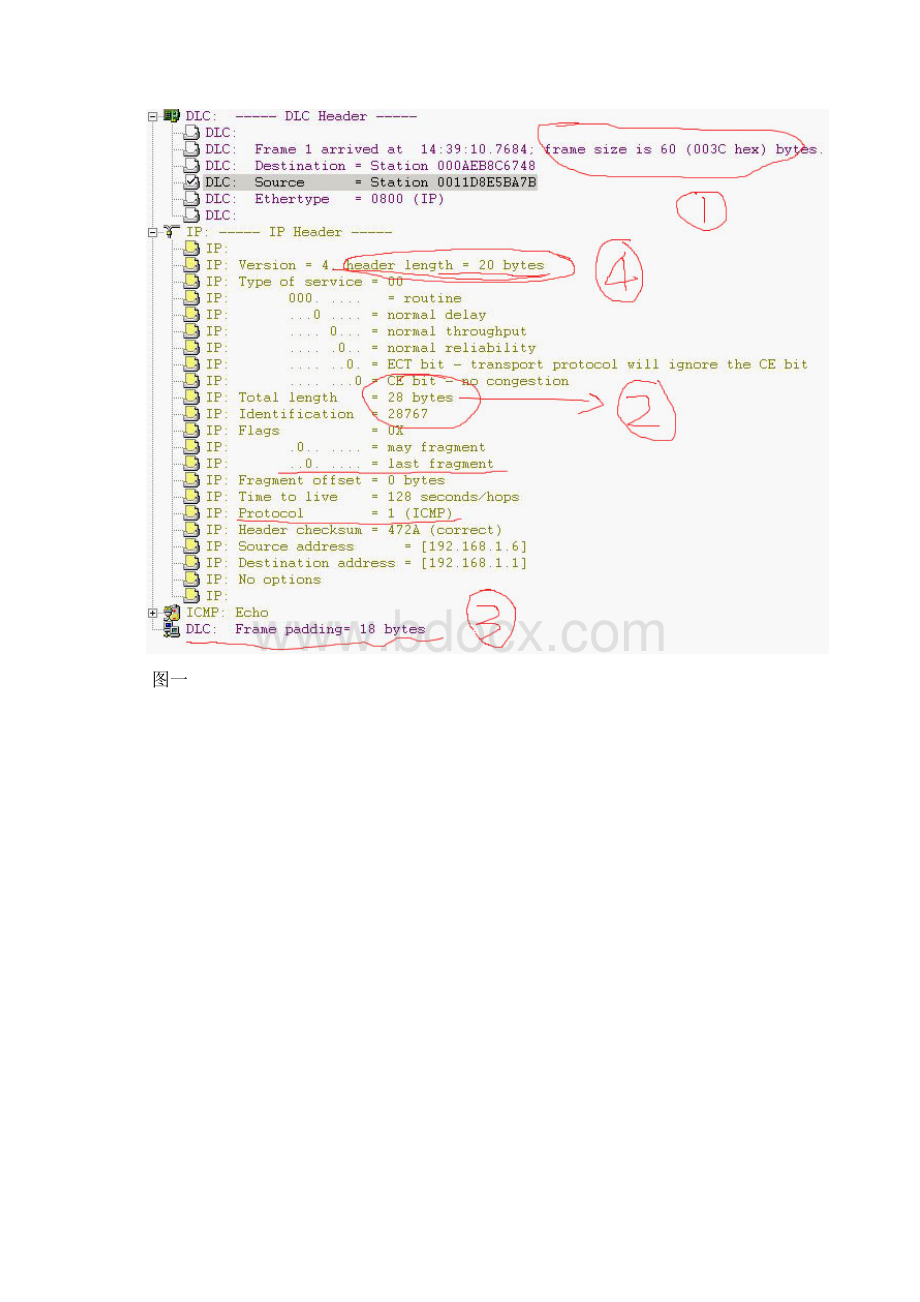 实验4网络性能测试与应用认识协议包.docx_第2页