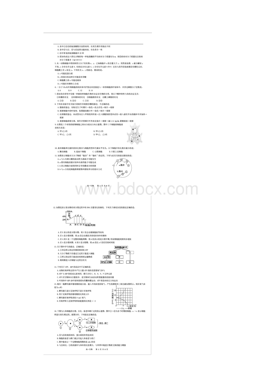 学年广东省汕头市潮南区高一上学期期末考试生物试题.docx_第2页