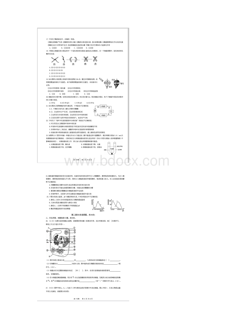 学年广东省汕头市潮南区高一上学期期末考试生物试题文档格式.docx_第3页