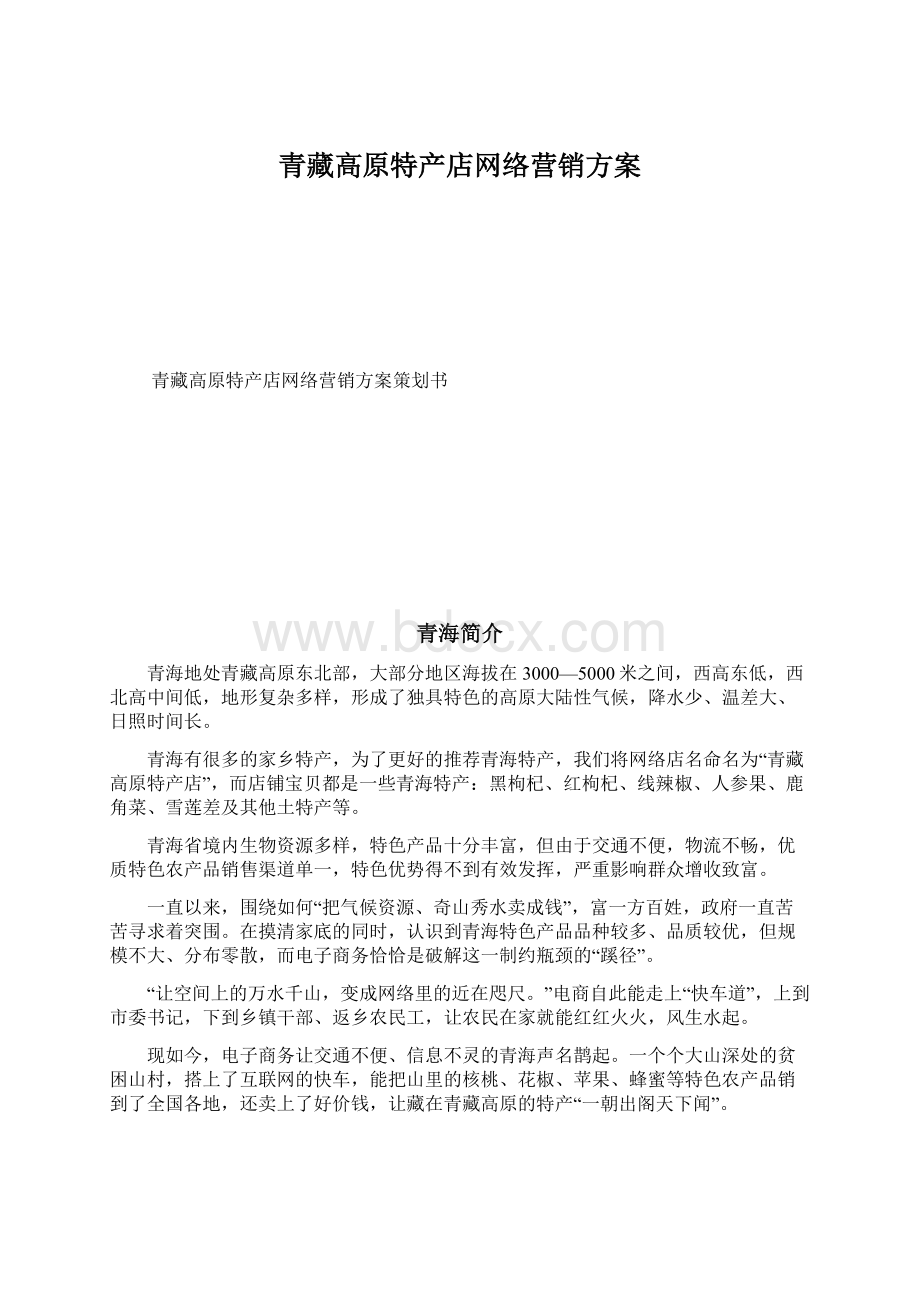 青藏高原特产店网络营销方案Word文档下载推荐.docx