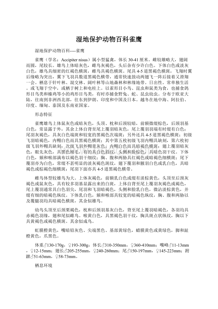 湿地保护动物百科雀鹰文档格式.docx