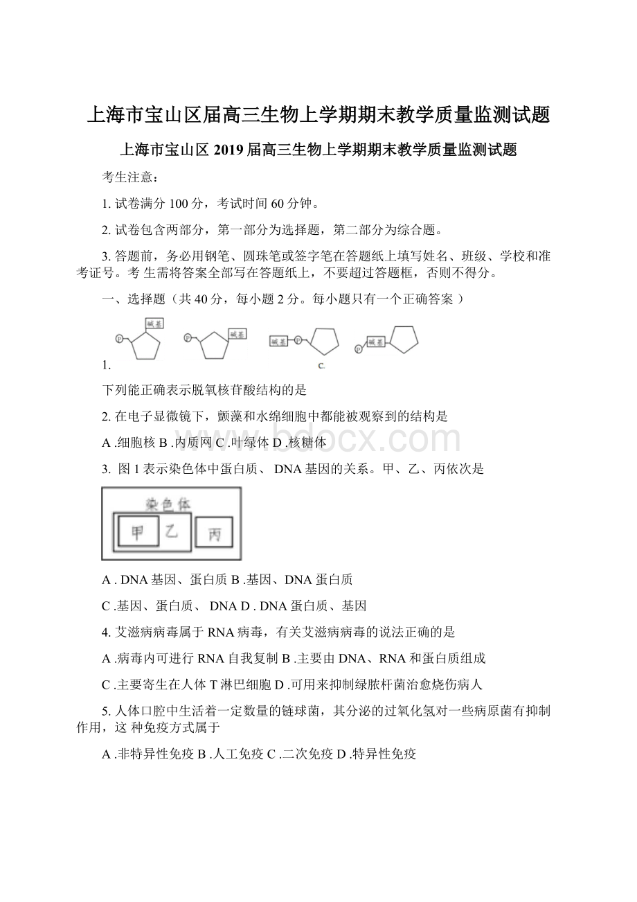 上海市宝山区届高三生物上学期期末教学质量监测试题Word文件下载.docx