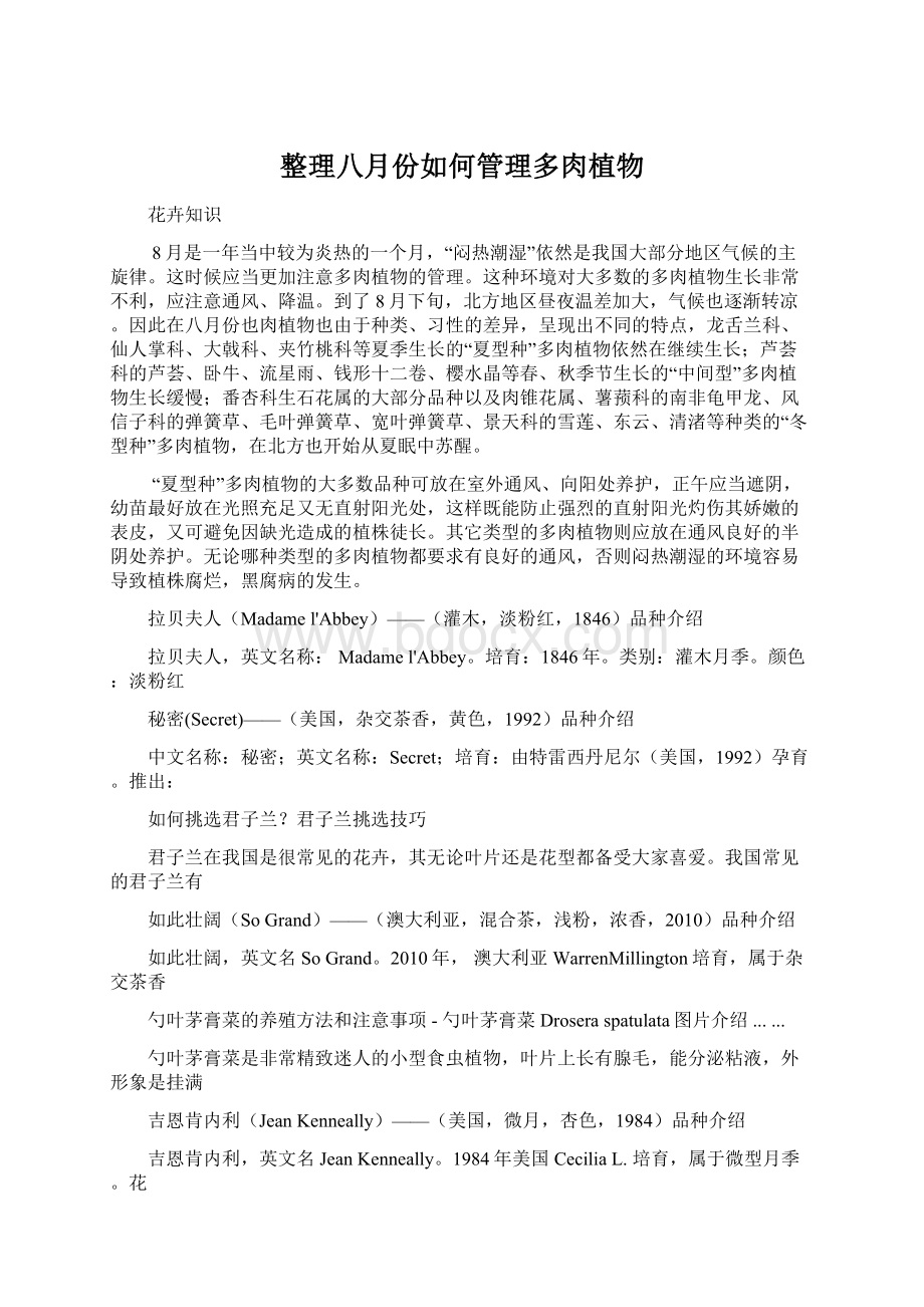 整理八月份如何管理多肉植物文档格式.docx_第1页