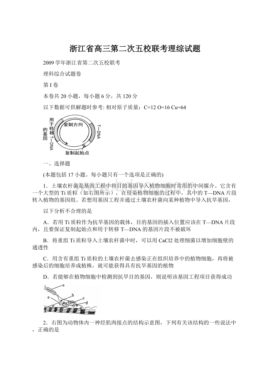 浙江省高三第二次五校联考理综试题.docx