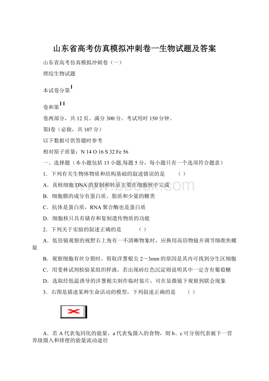 山东省高考仿真模拟冲刺卷一生物试题及答案.docx