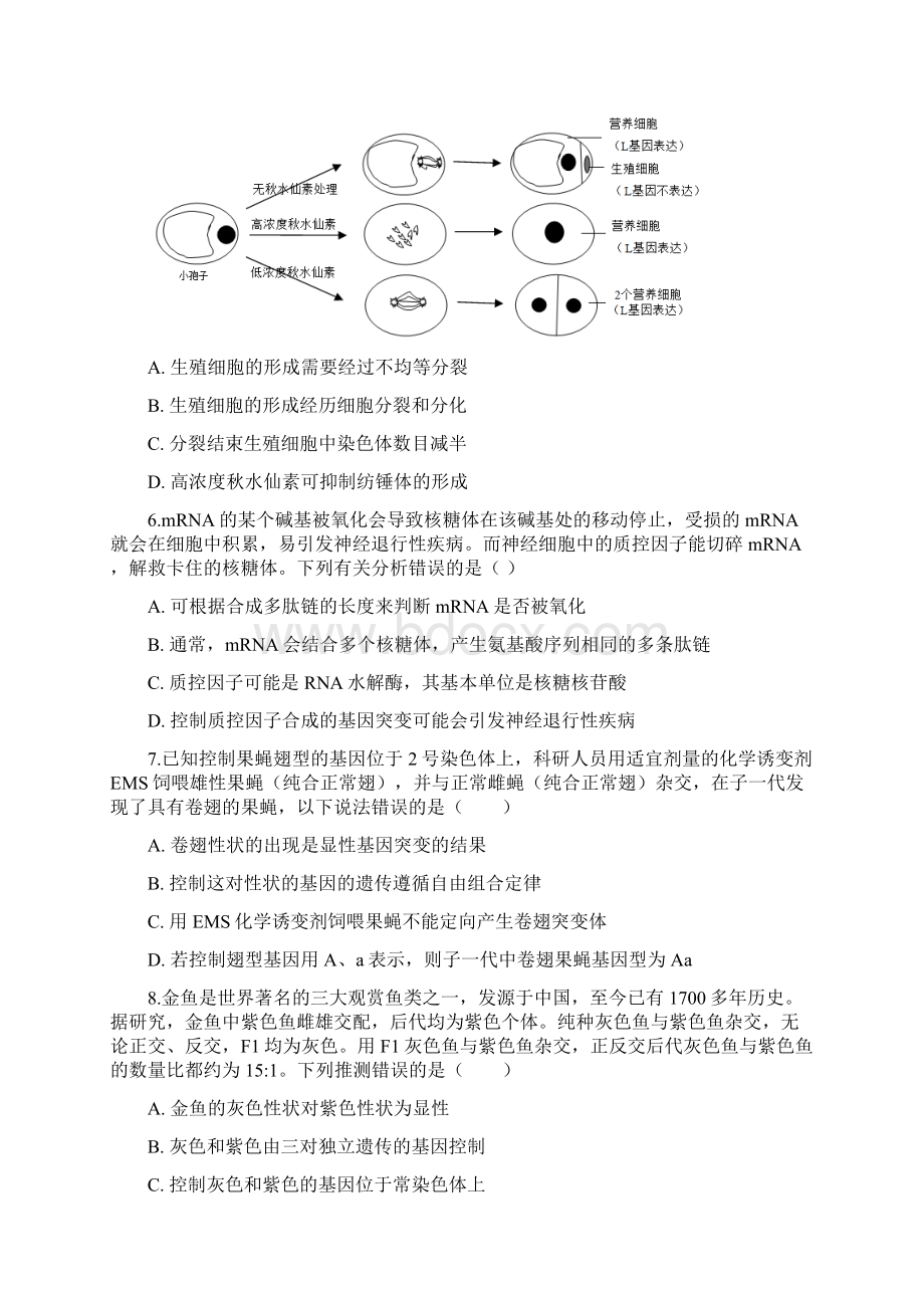 山东省济宁一中届高三下学期二轮质量检测生物.docx_第3页