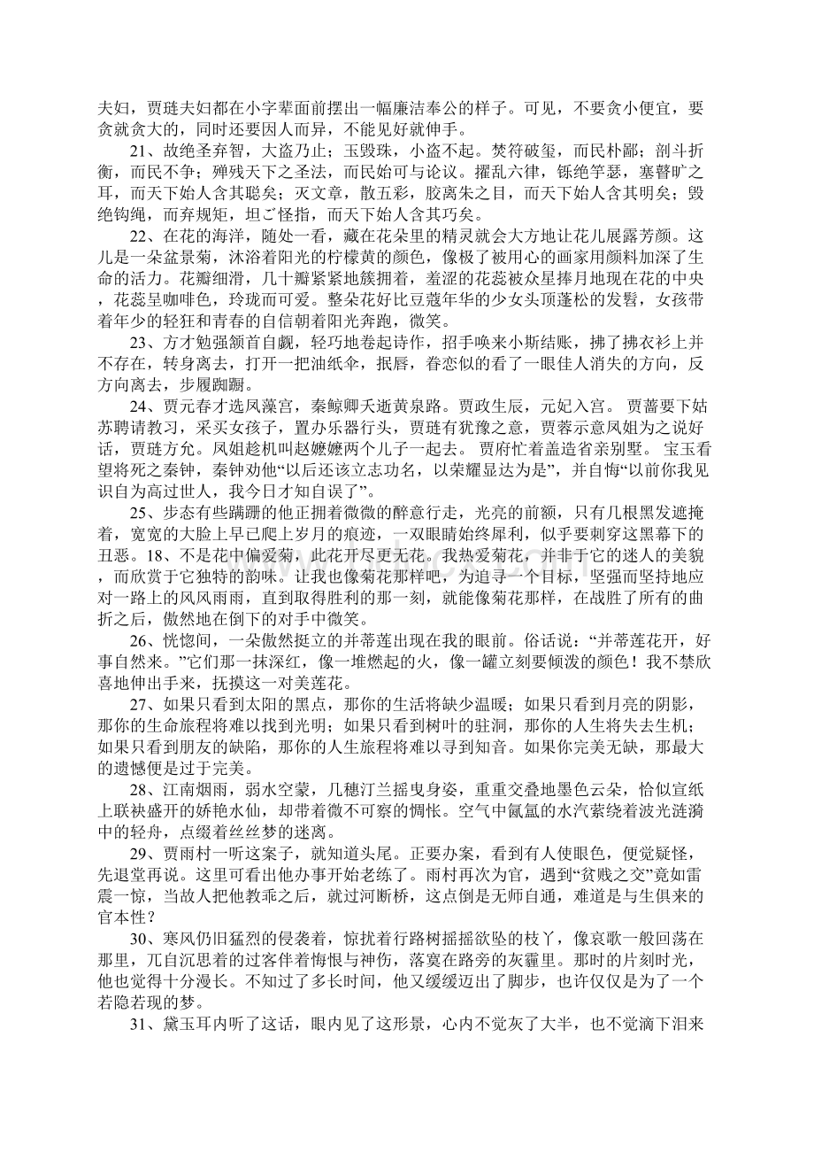 红楼梦精彩片段摘抄Word格式文档下载.docx_第3页