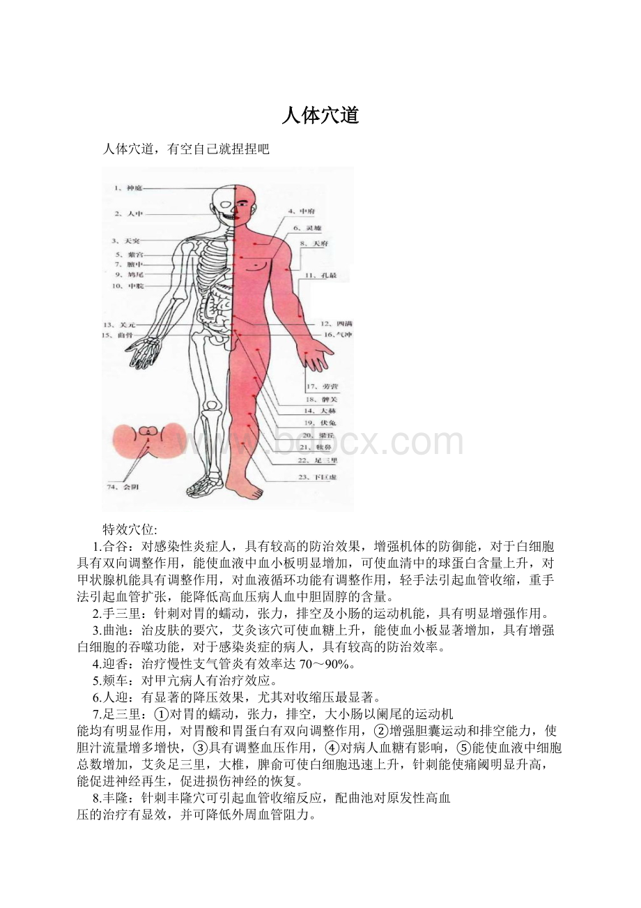 人体穴道.docx