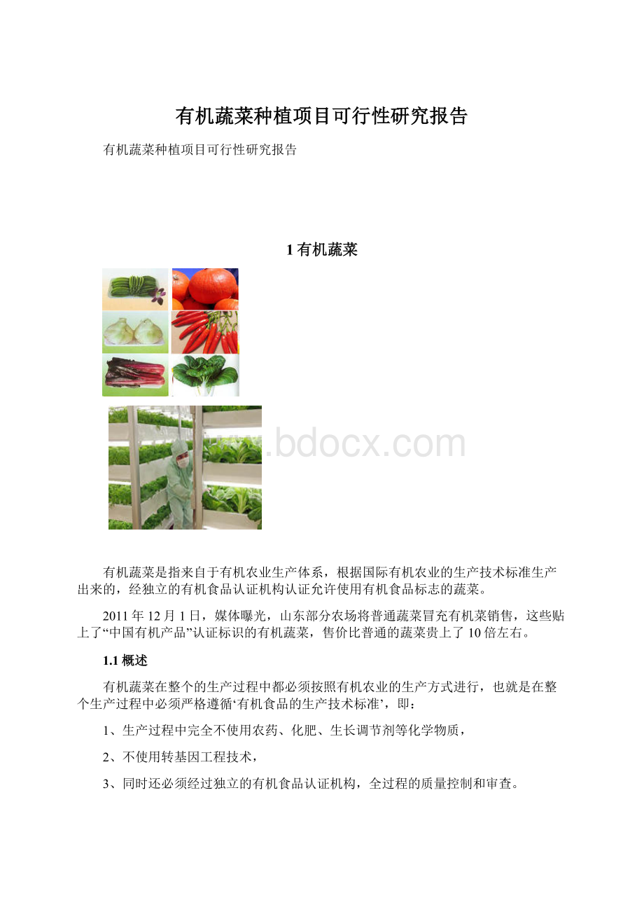 有机蔬菜种植项目可行性研究报告Word文档格式.docx