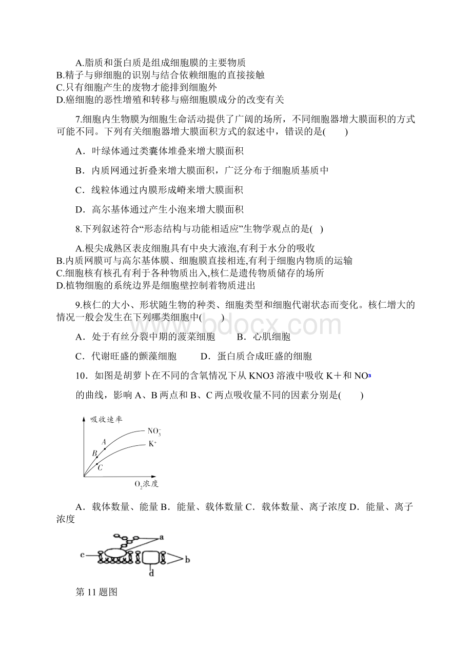 云南省昆明市官渡区一中学年高一下学期期中考试生物试题Word版含答案Word格式.docx_第2页