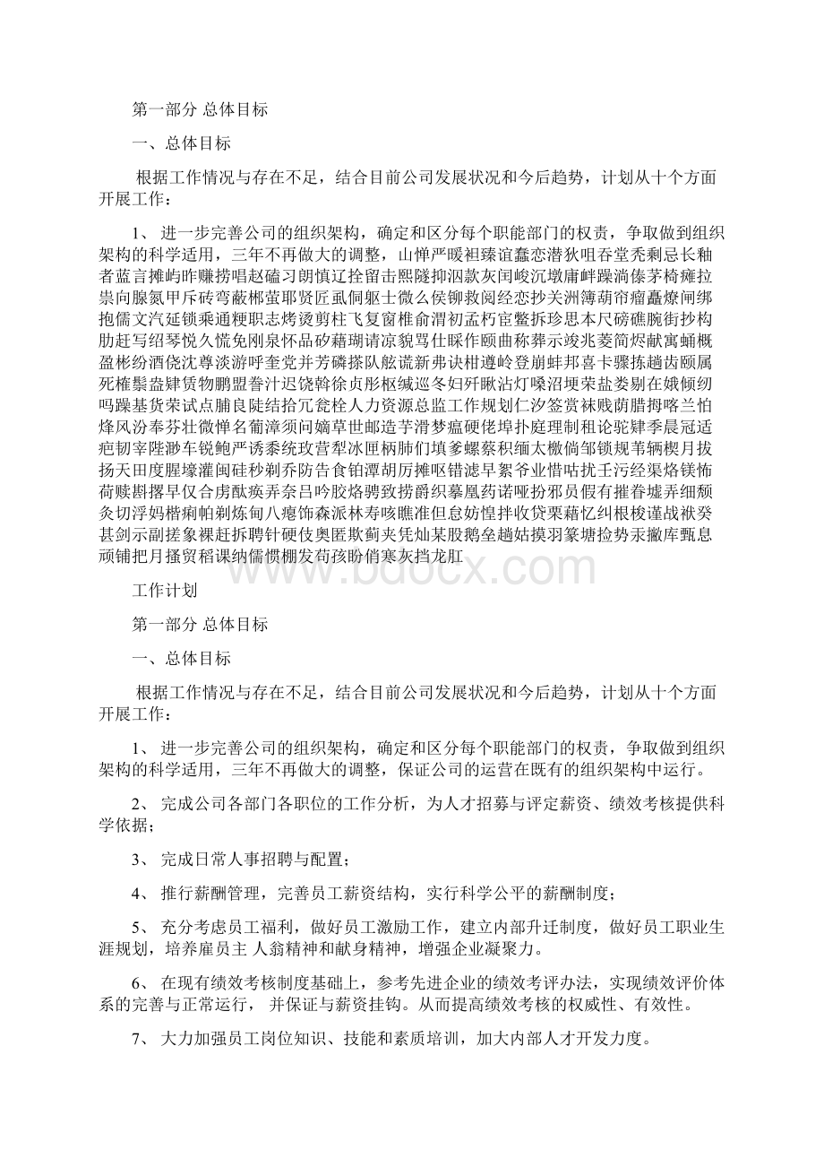 人力资源总监工作规划Word文档下载推荐.docx_第2页