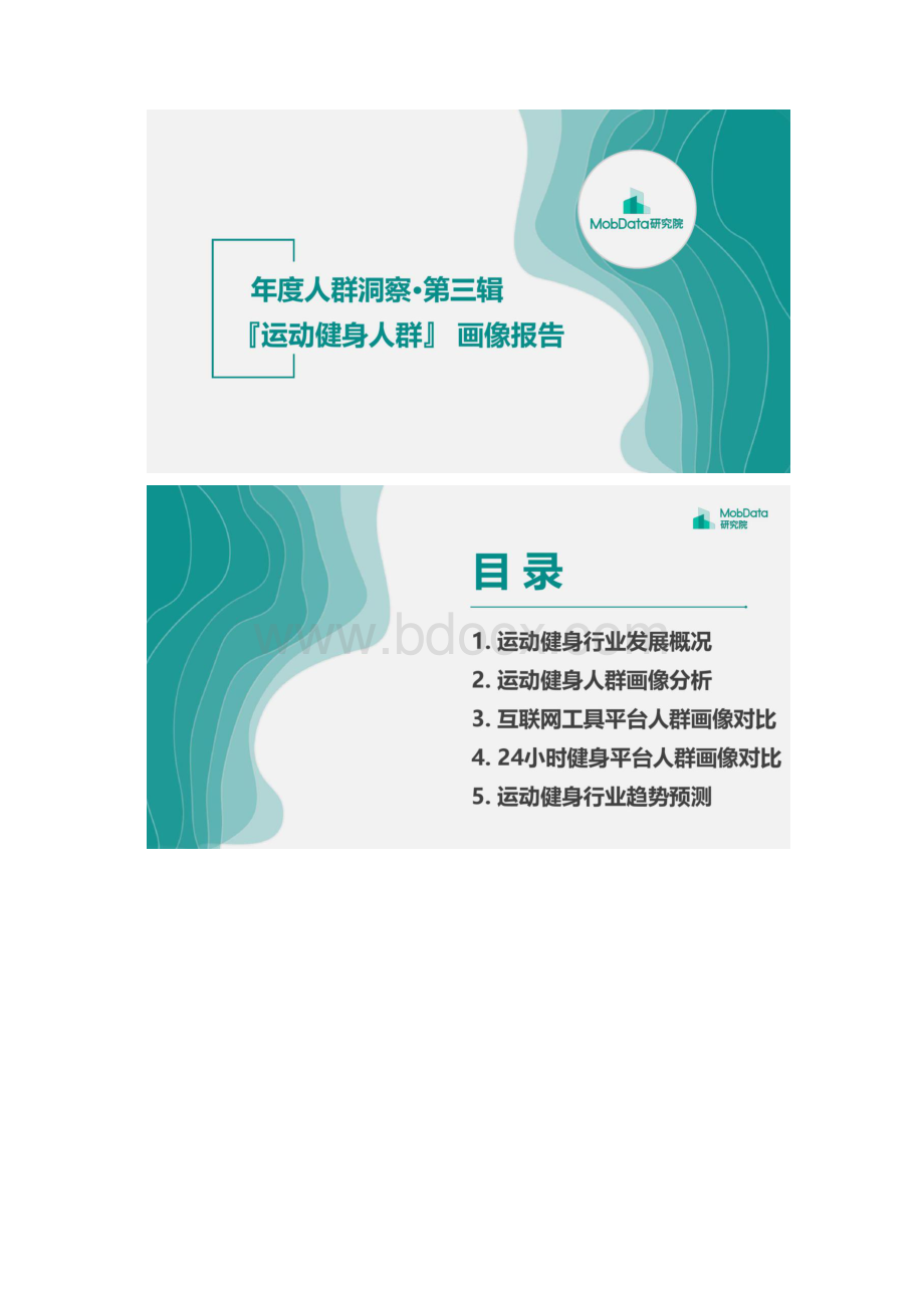 Mobdata运动健身人群画像报告Word文件下载.docx_第2页