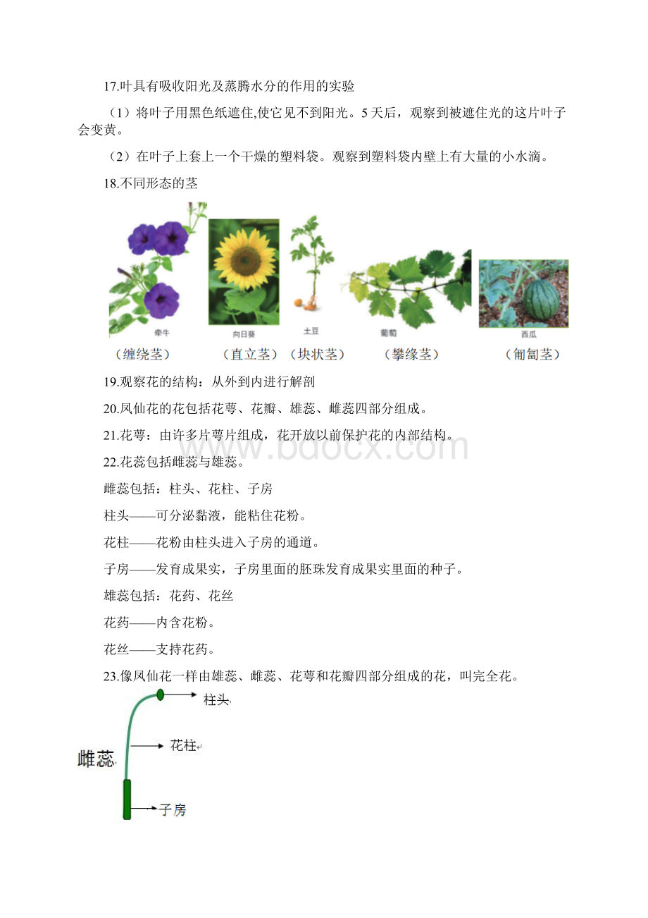 新改版教科版四年级下册科学全册知识点梳理含问答题总结 单元背诵版Word文件下载.docx_第3页