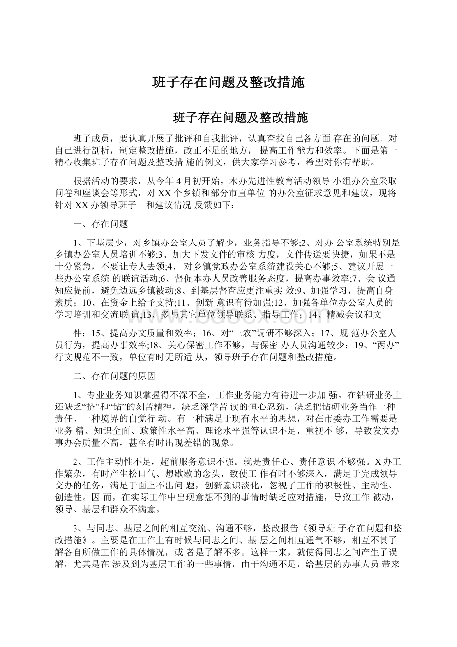 班子存在问题及整改措施.docx