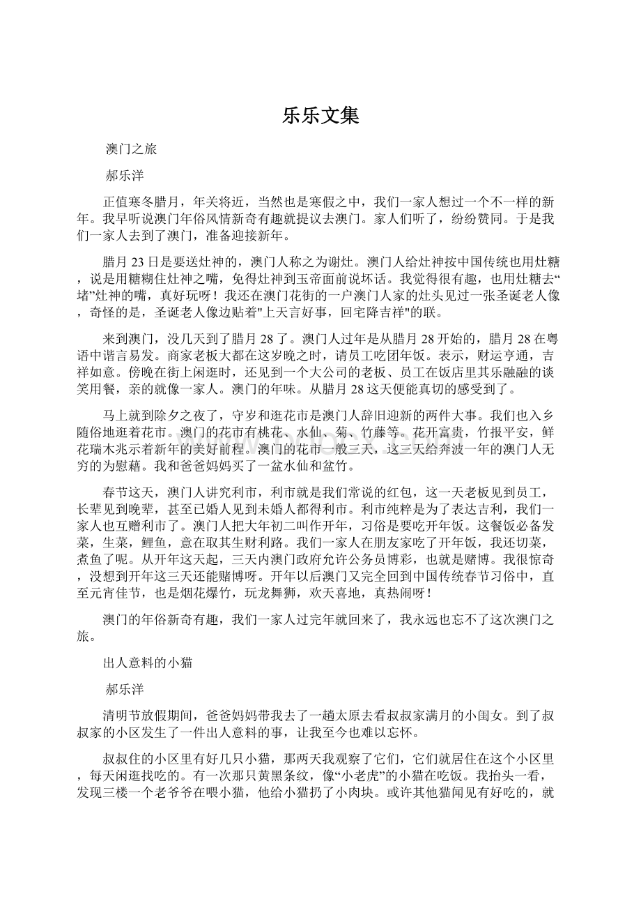 乐乐文集文档格式.docx_第1页