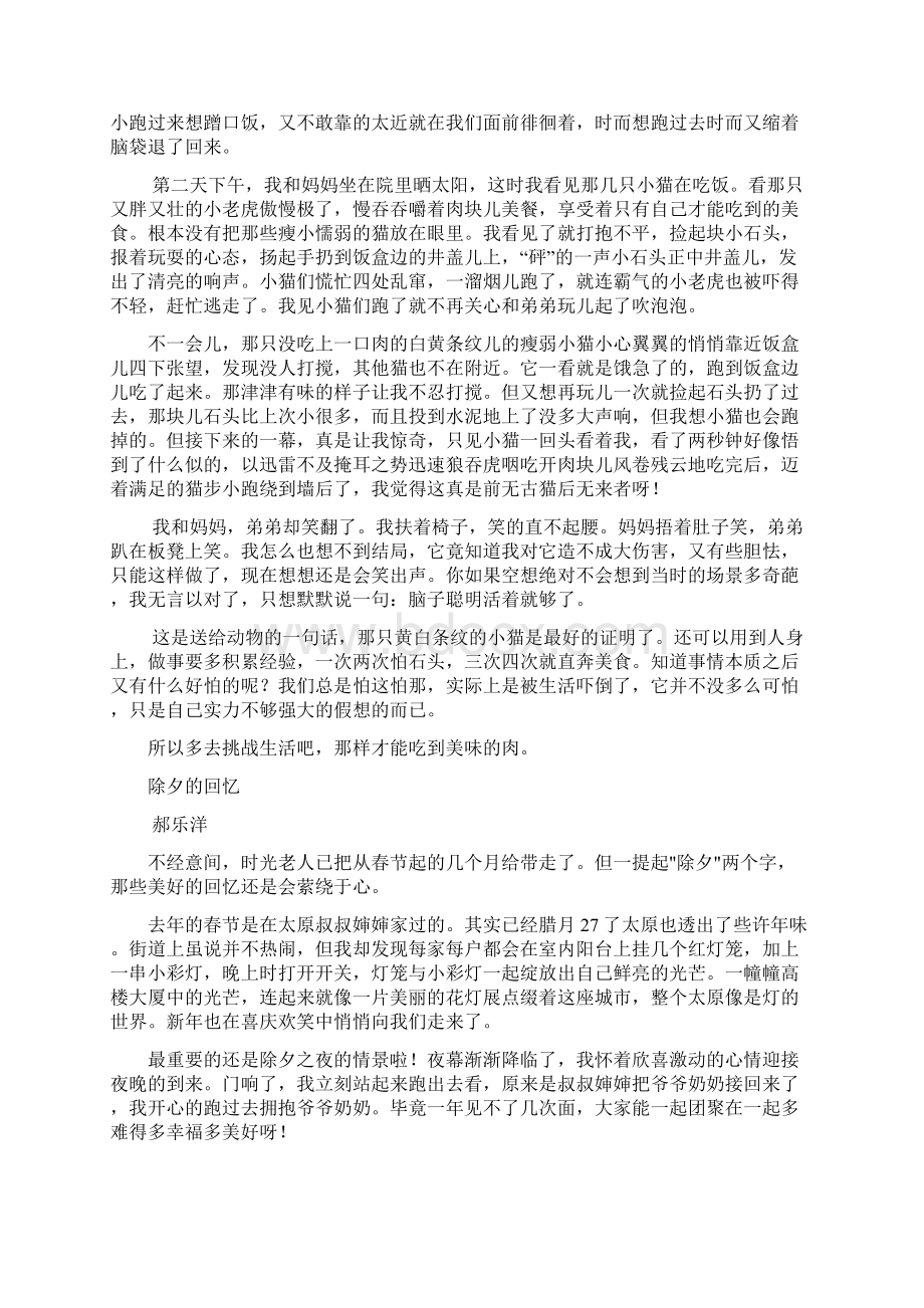 乐乐文集.docx_第2页