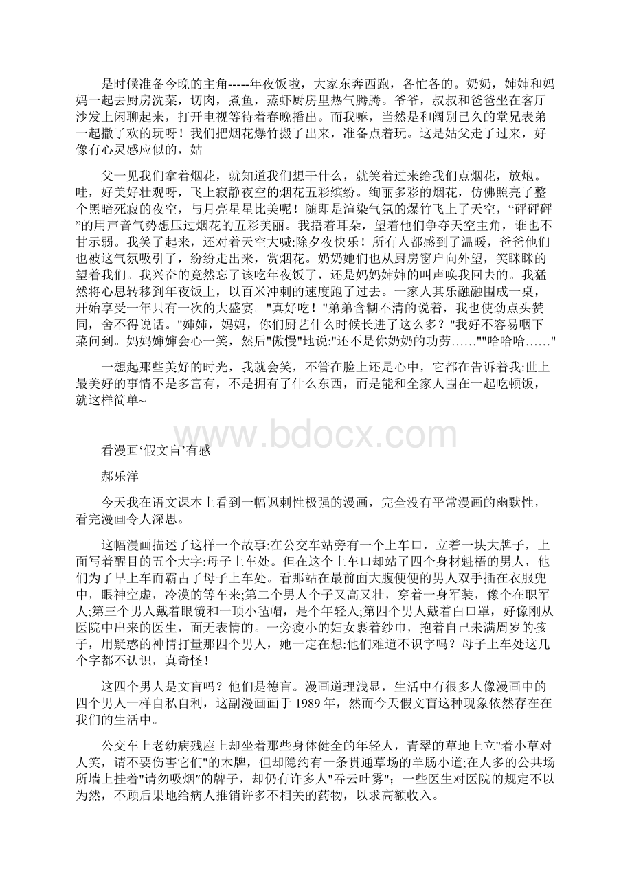 乐乐文集.docx_第3页