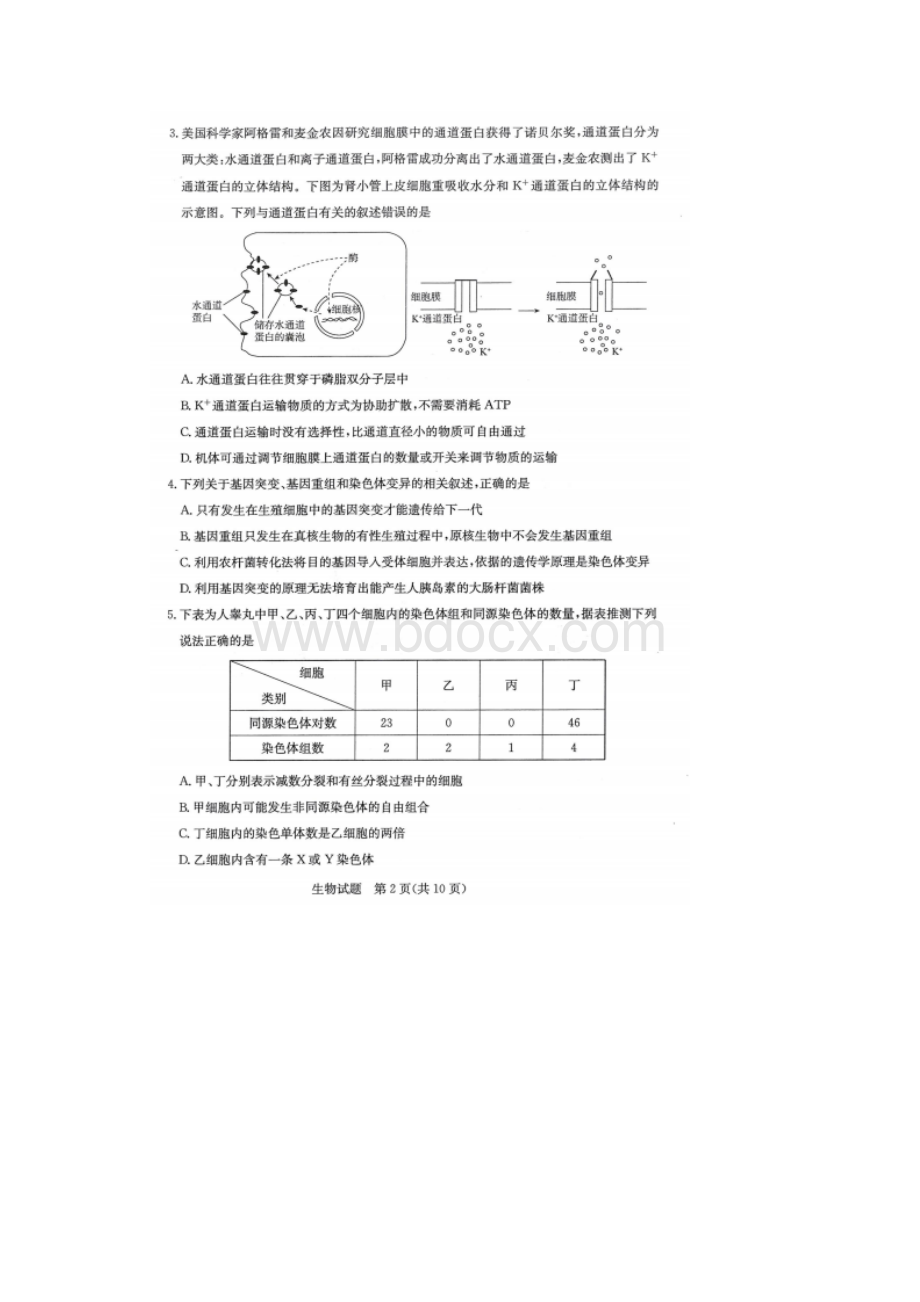 最新 届山东省济南市高三生物开学模拟试题.docx_第2页