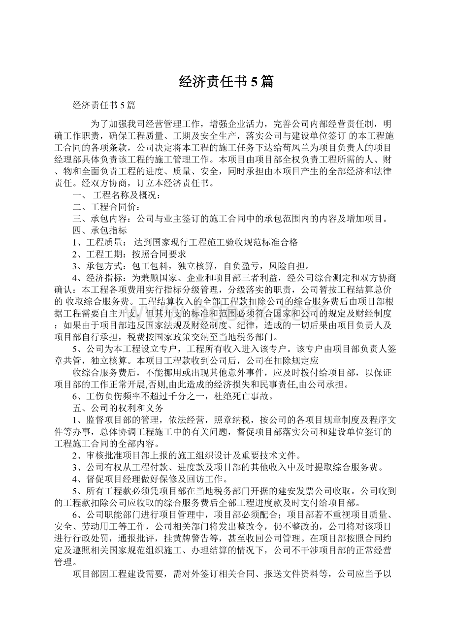 经济责任书5篇Word文档下载推荐.docx