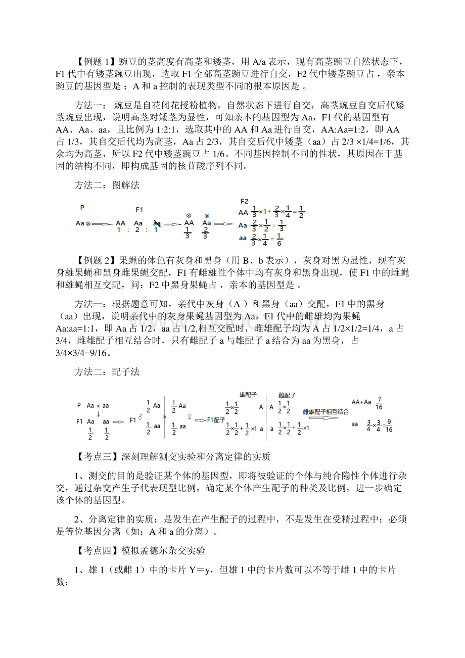 高中生物必修必修二遗传与进化必背知识点.docx_第2页