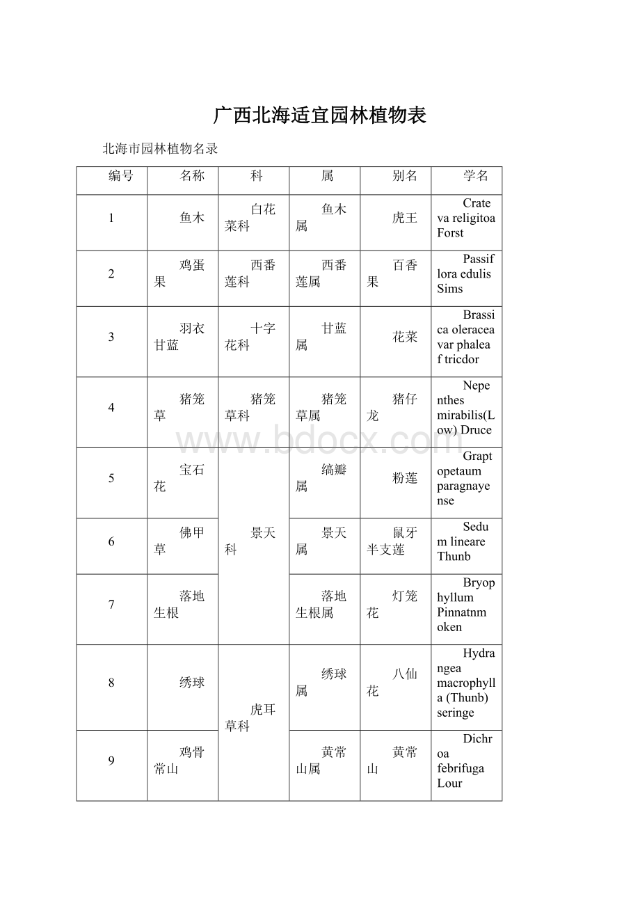 广西北海适宜园林植物表Word下载.docx_第1页