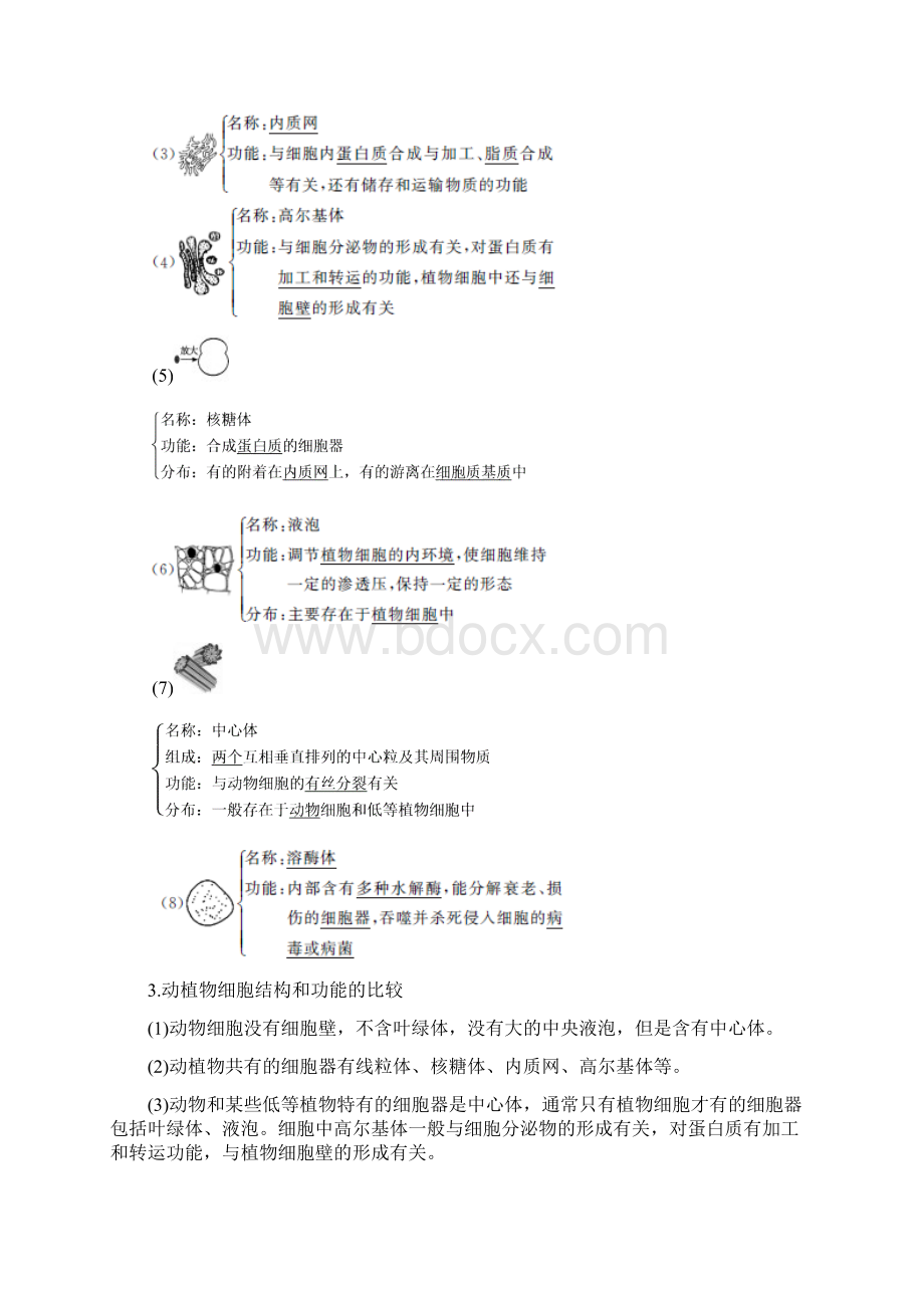 高中生物 322 细胞质和细胞器课时作业 苏教版必修1.docx_第2页