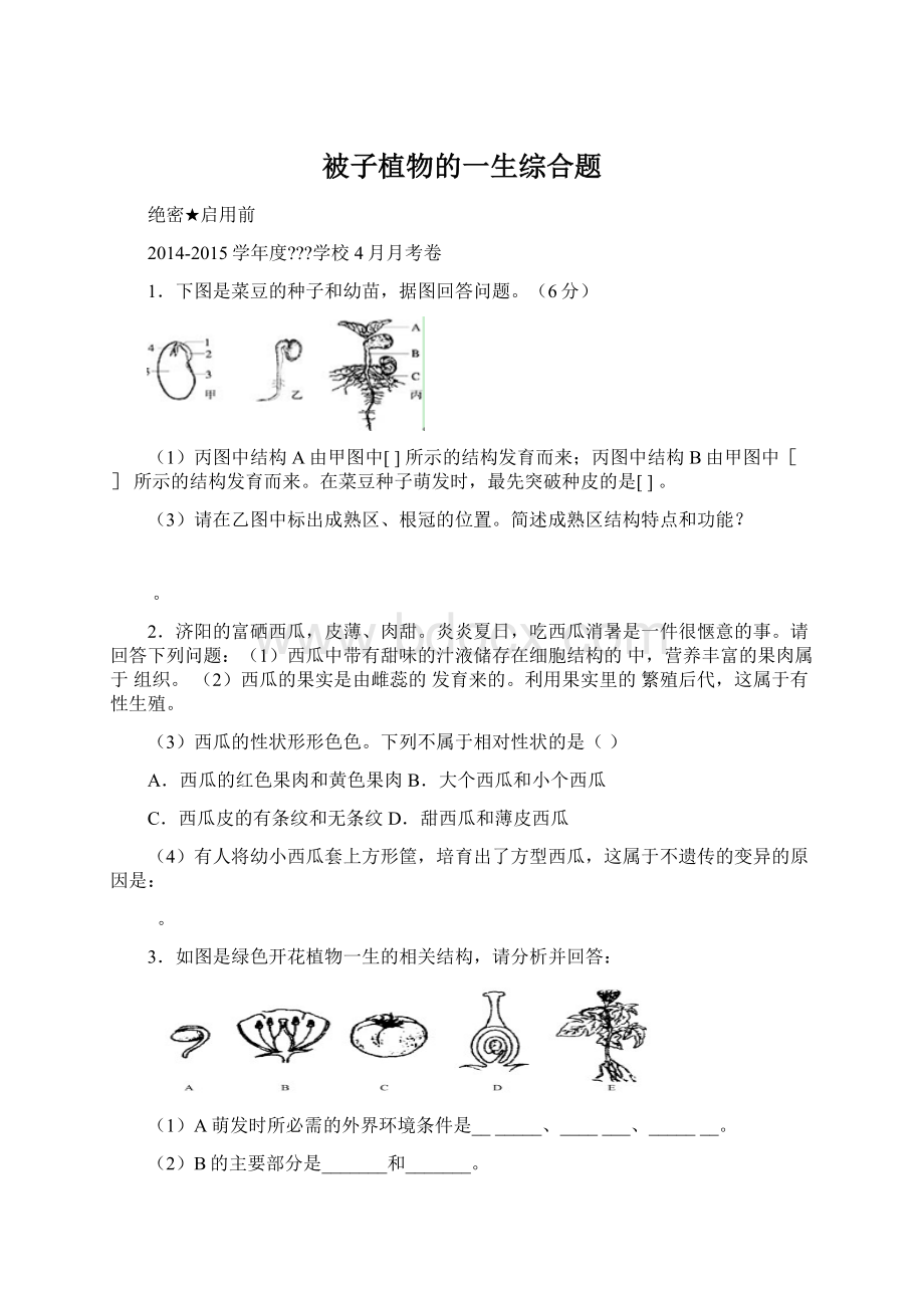 被子植物的一生综合题Word文件下载.docx_第1页