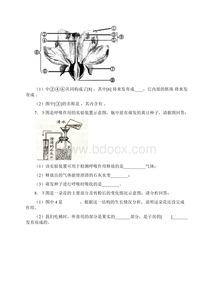 被子植物的一生综合题Word文件下载.docx_第3页