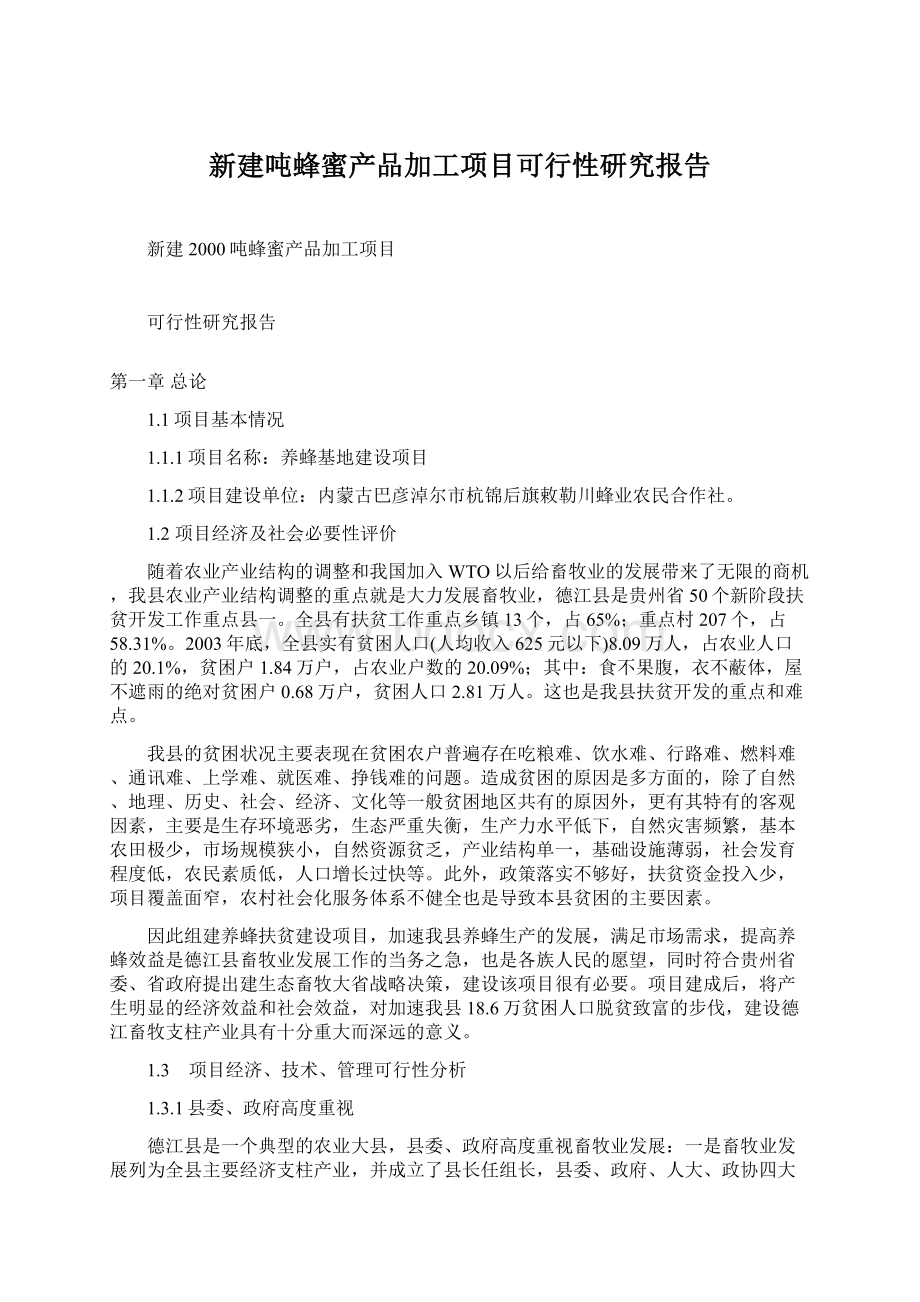 新建吨蜂蜜产品加工项目可行性研究报告.docx