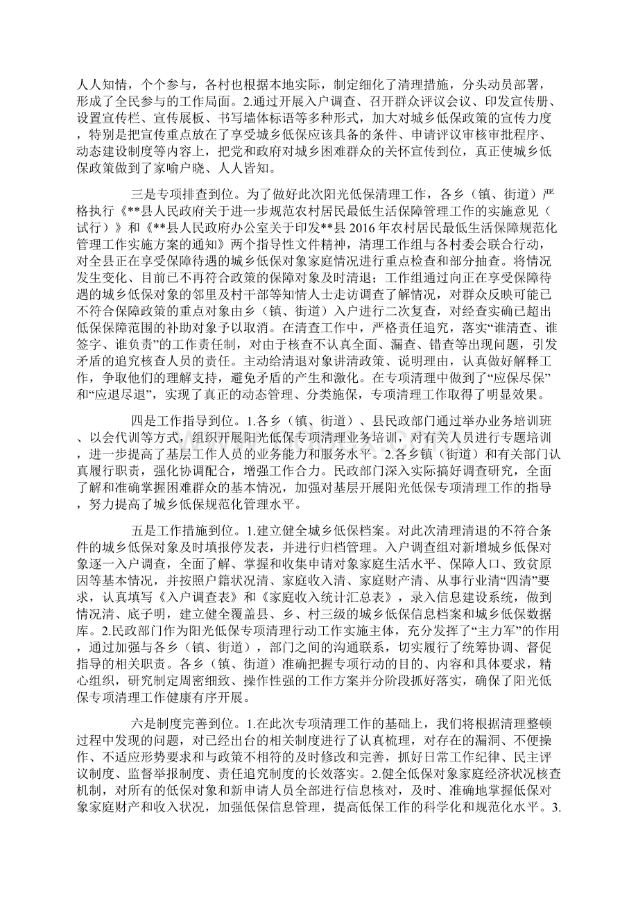 阳光低保专项清理工作总结.docx_第2页