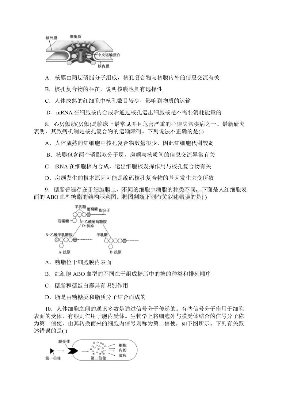 渭南市届高三上学期第二次月考生物试题 含答案.docx_第3页