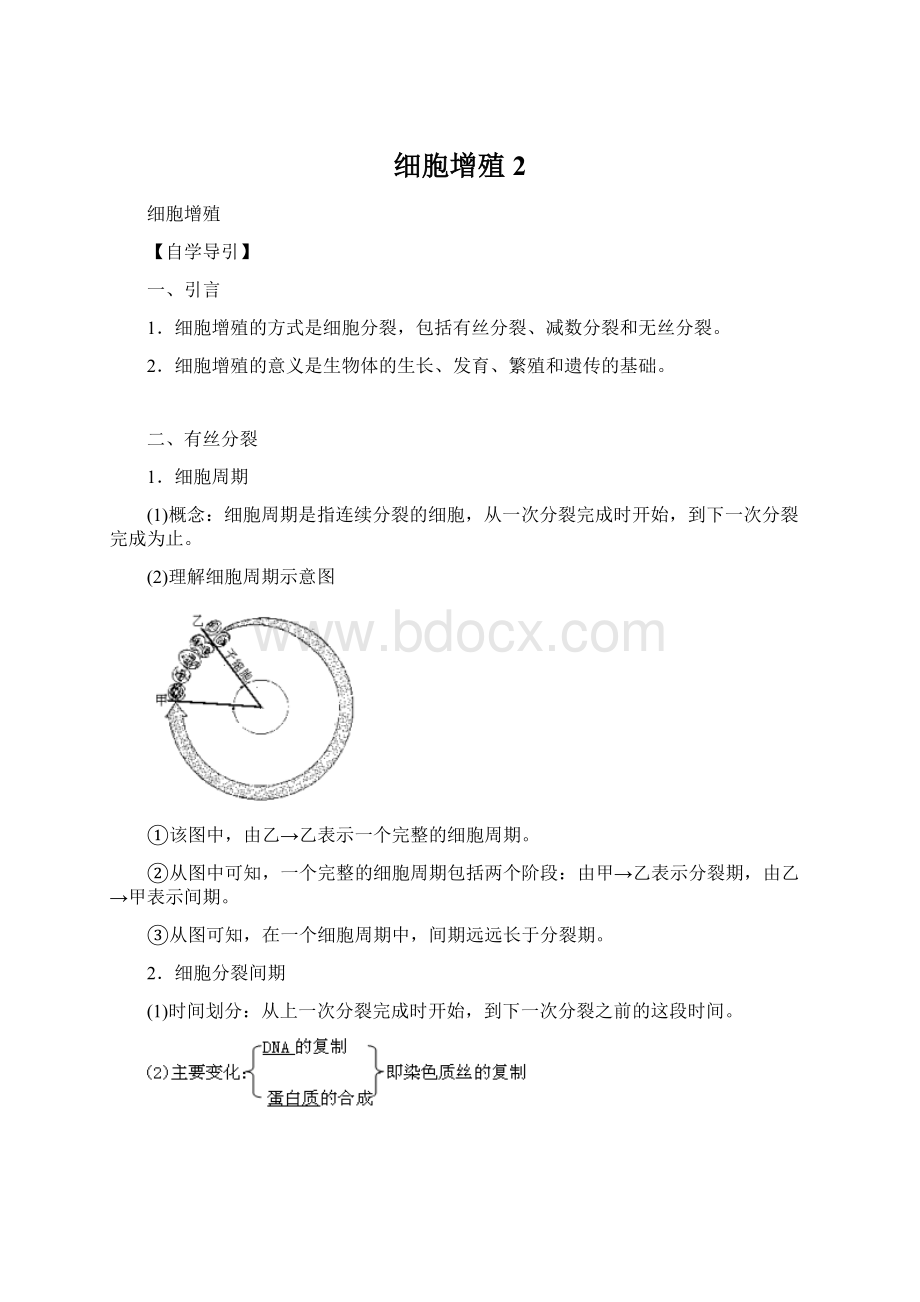 细胞增殖2.docx