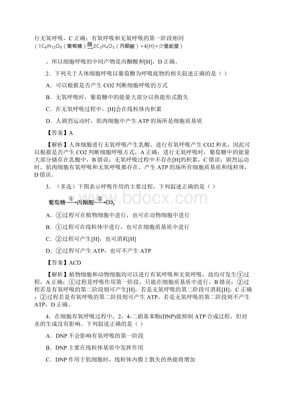 新高考届高考生物小题必练5细胞呼吸的原理及其应用含答案.docx_第3页