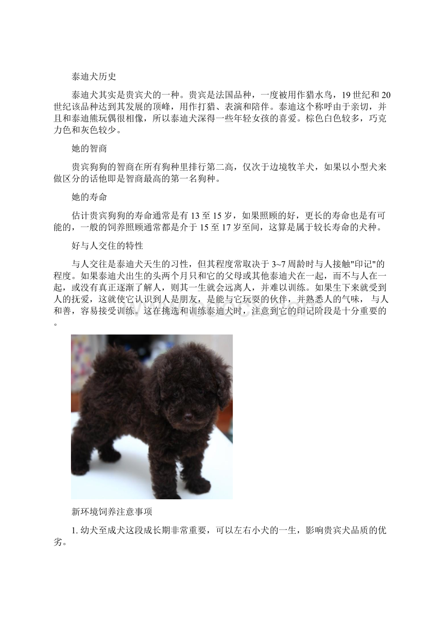 泰迪犬的饲养手册图文自制.docx_第2页