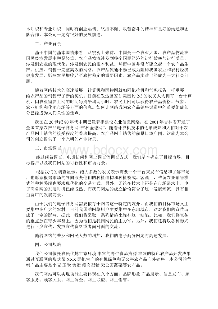 互联网+众创空间计划书互联网+农产品网上营销创业商业计划书Word格式.docx_第3页