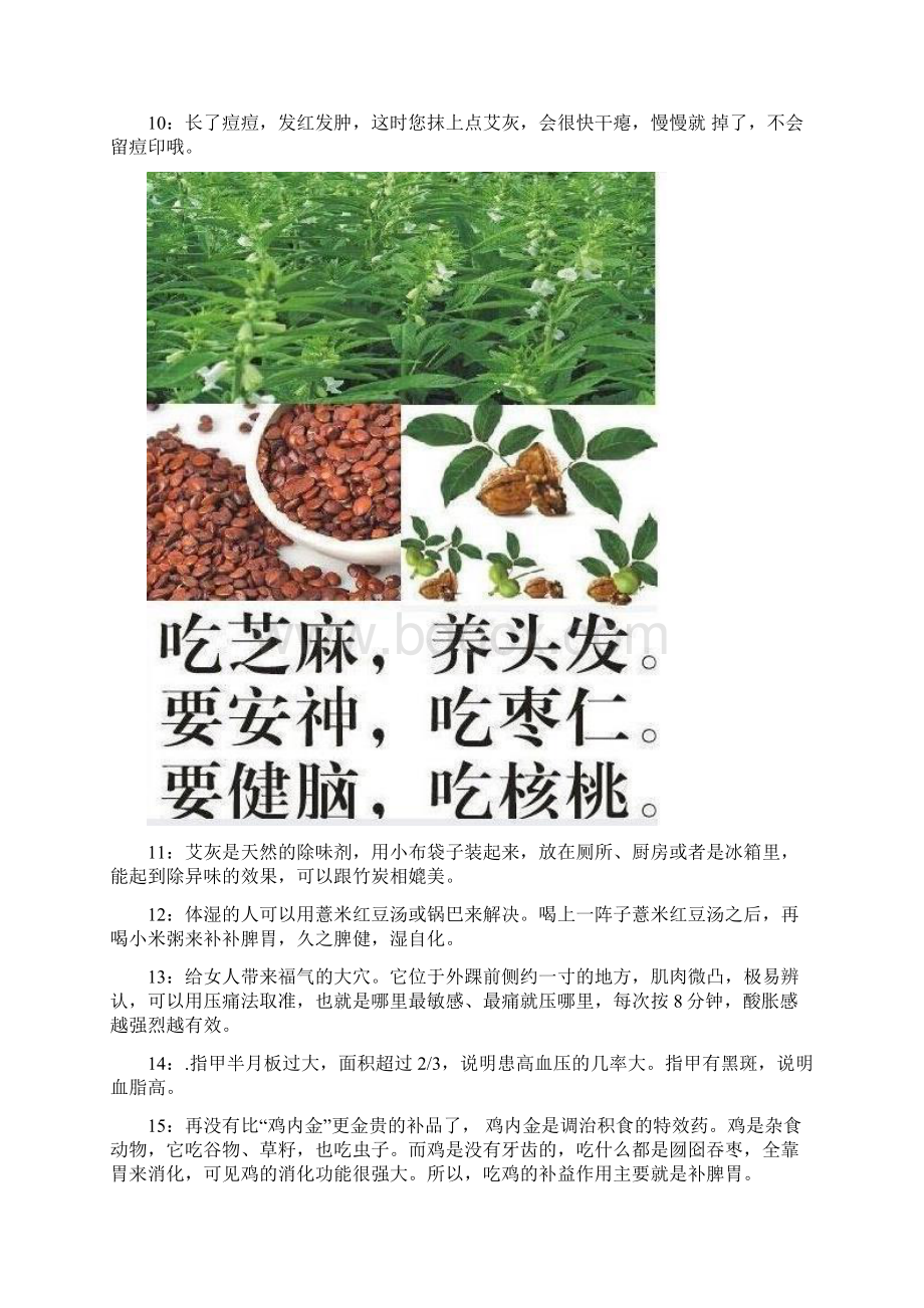 食补大全Word文档格式.docx_第2页