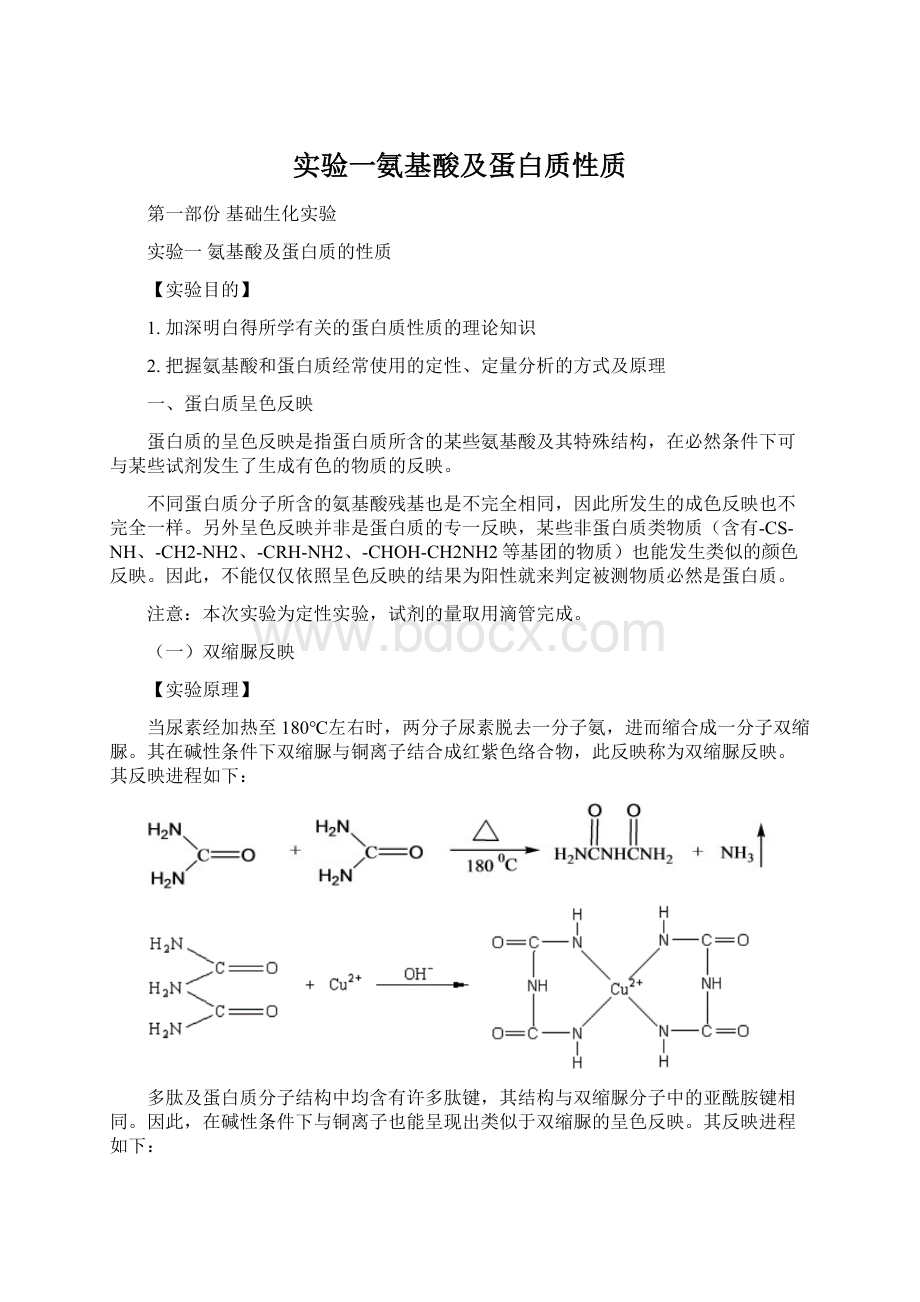 实验一氨基酸及蛋白质性质.docx_第1页