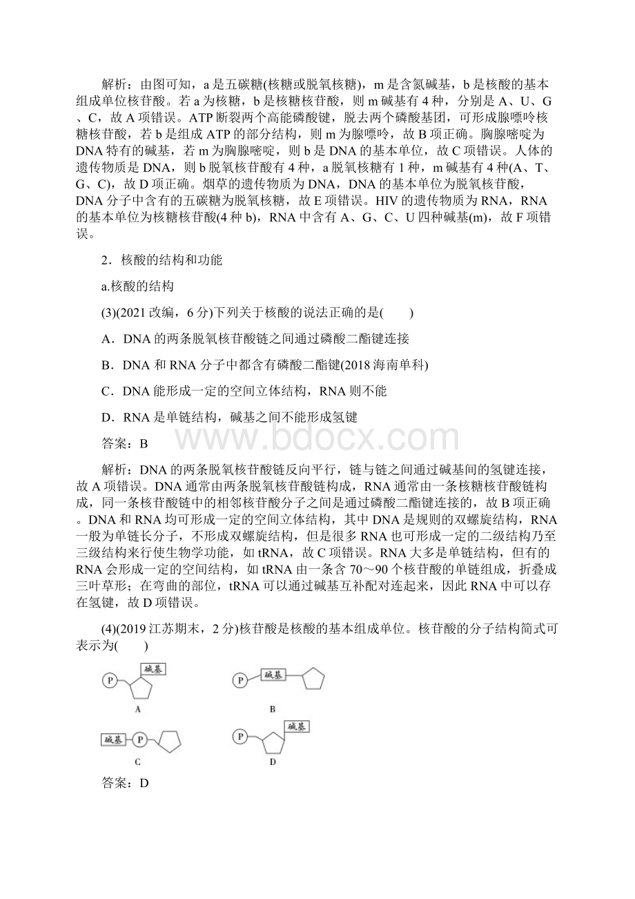 版高中生物一轮教案考点普查全国版上第3课核酸.docx_第2页