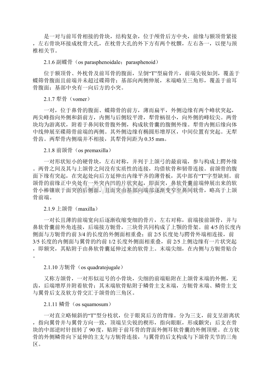 6 史氏蟾蜍的骨骼系统研究Word文档格式.docx_第3页