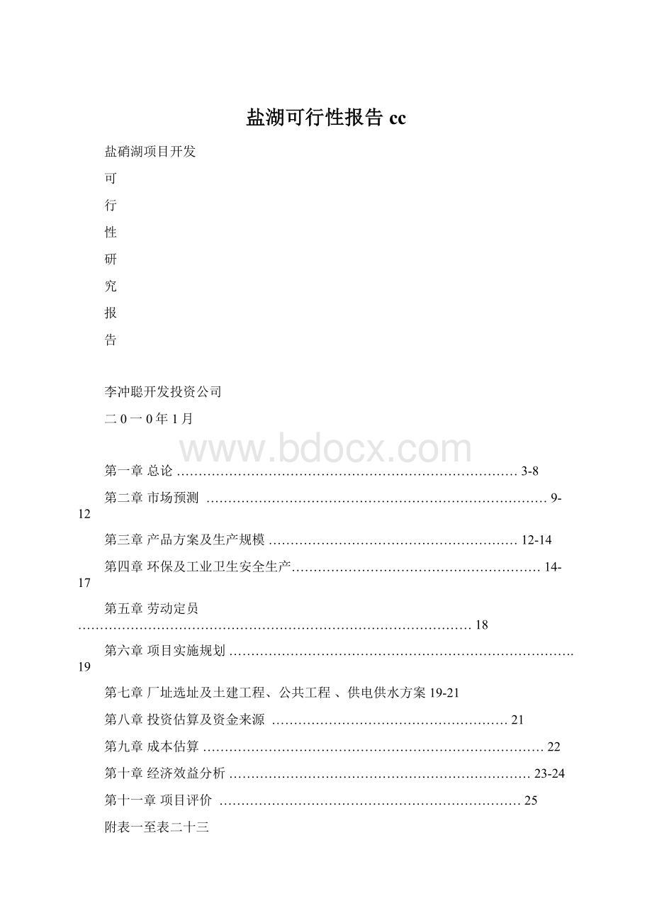 盐湖可行性报告 ccWord格式文档下载.docx