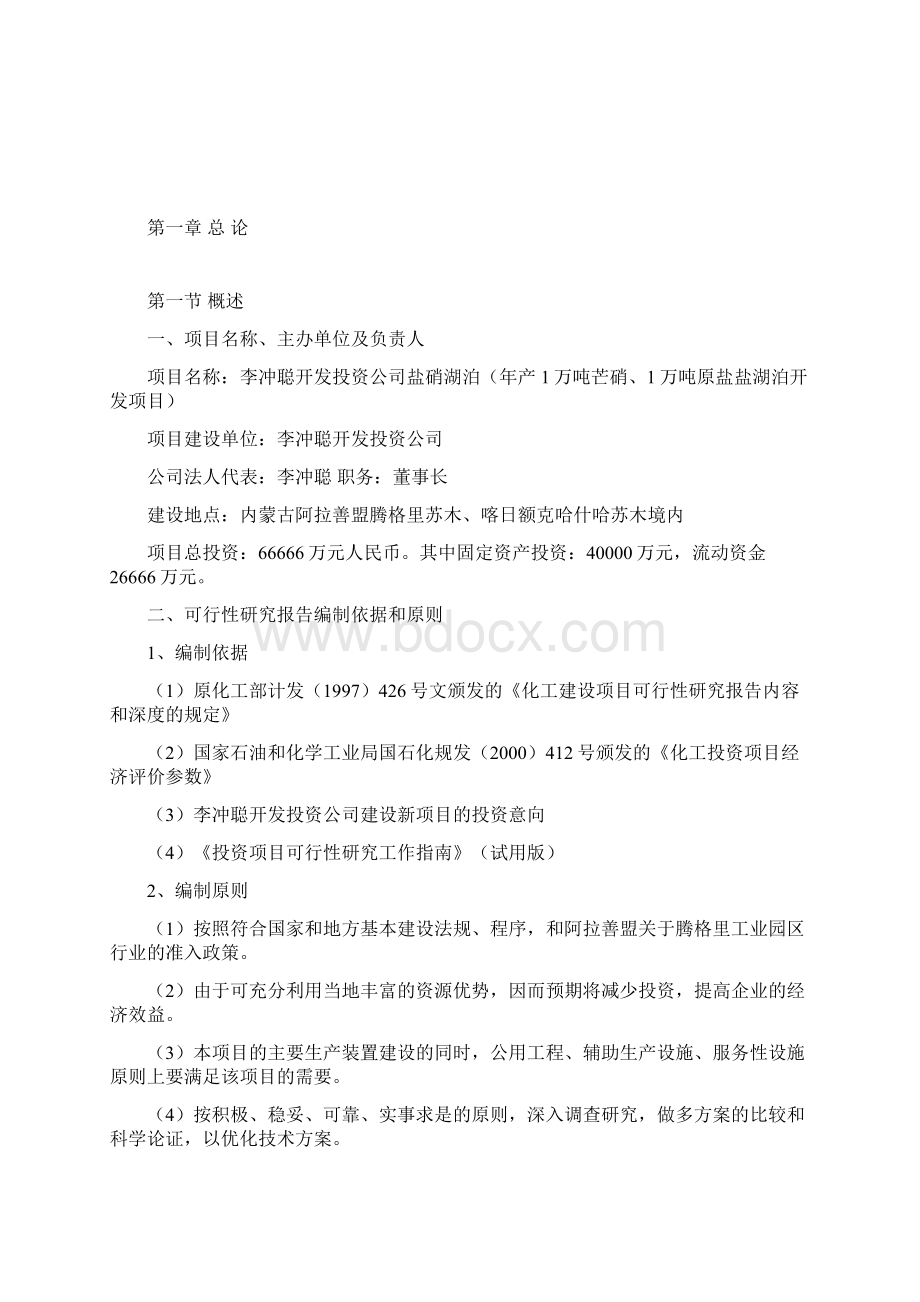 盐湖可行性报告 ccWord格式文档下载.docx_第2页