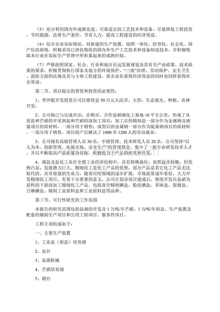 盐湖可行性报告 ccWord格式文档下载.docx_第3页