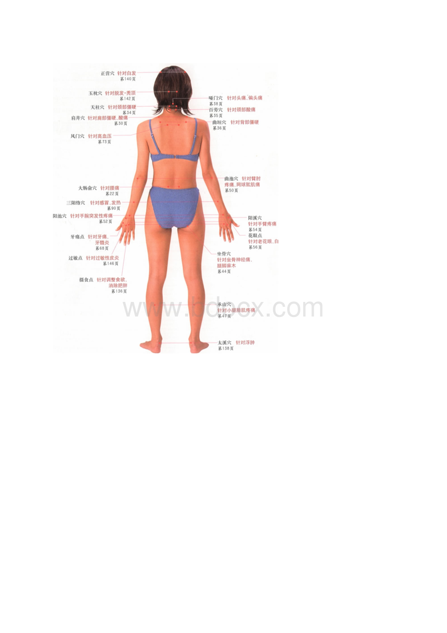 人体按摩穴位示意图.docx_第2页