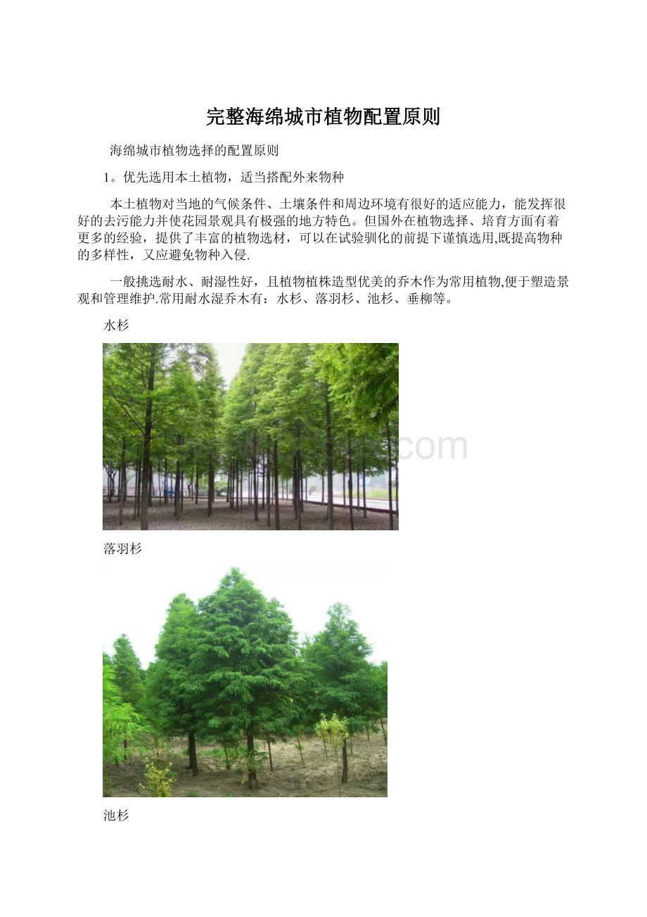 完整海绵城市植物配置原则Word文档格式.docx