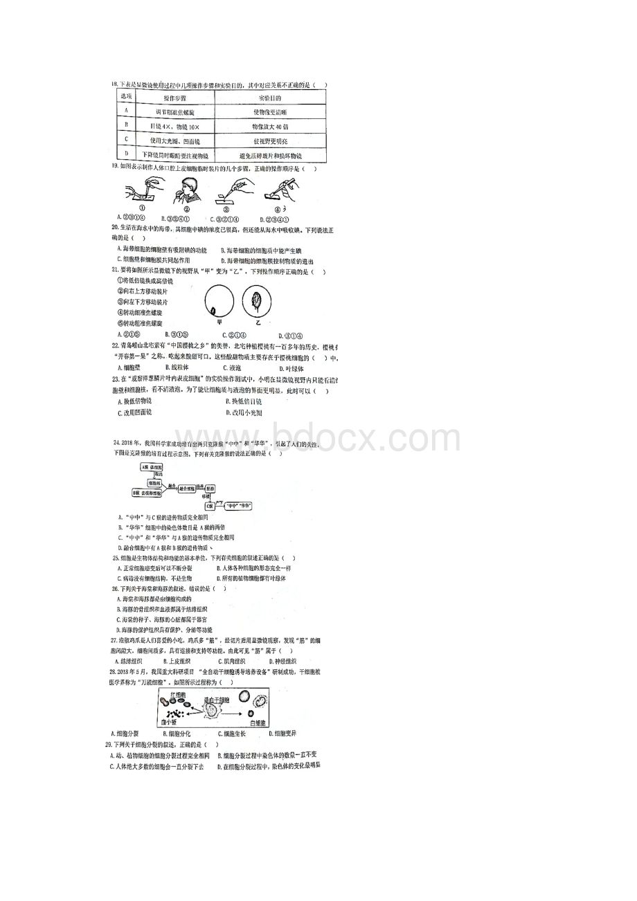 山东青岛李沧区学年七年级期中生物试题图片版.docx_第3页