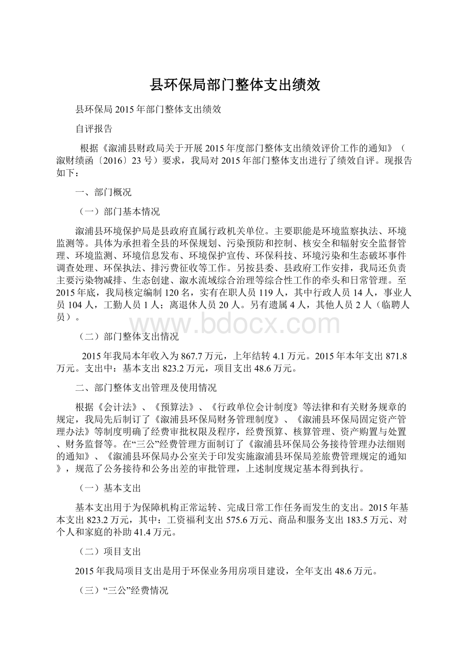 县环保局部门整体支出绩效.docx_第1页