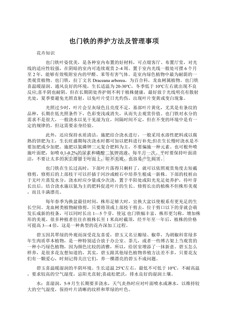 也门铁的养护方法及管理事项.docx