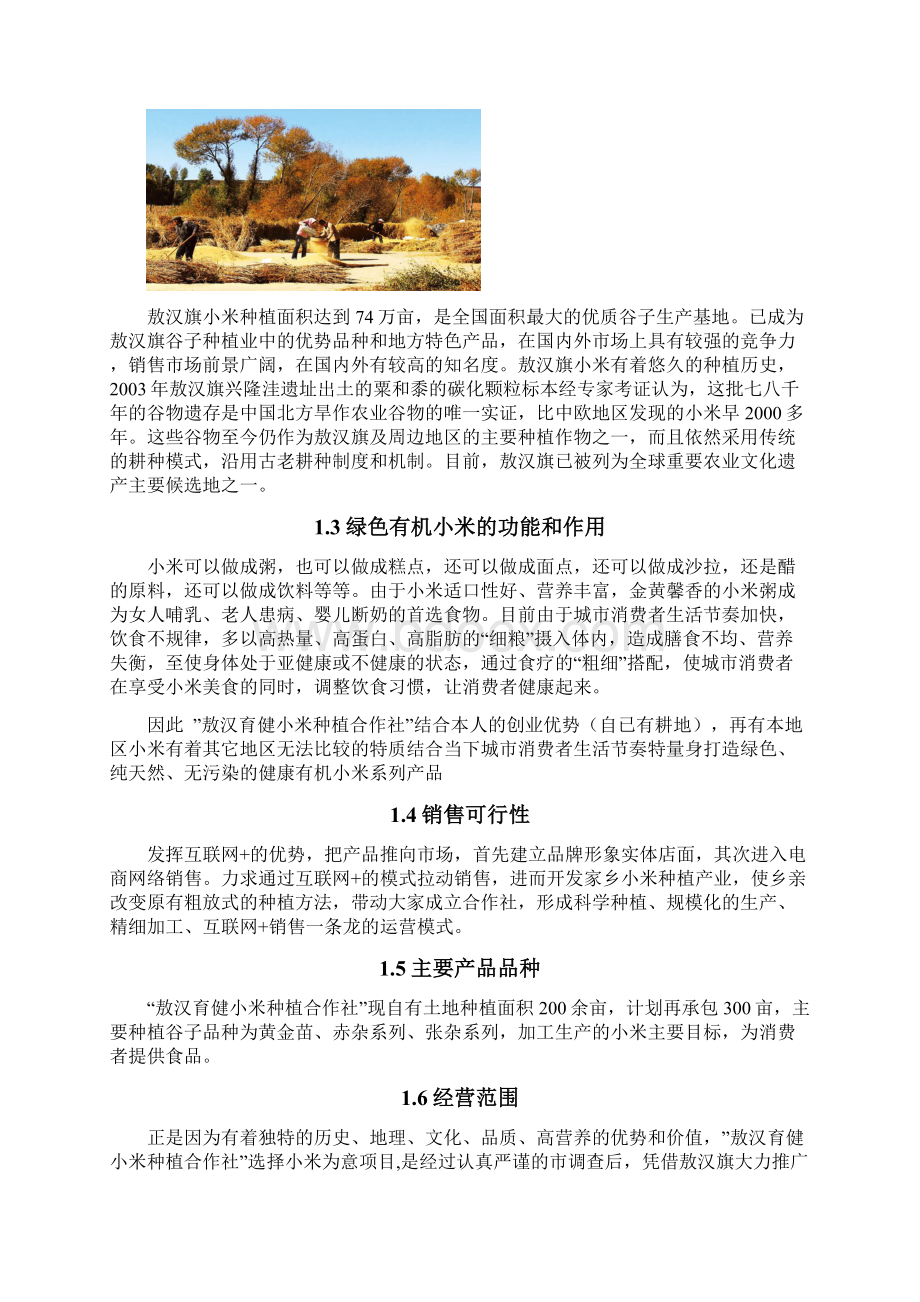 敖汉育健小米种植农民专业合作社项目商业计划书.docx_第3页