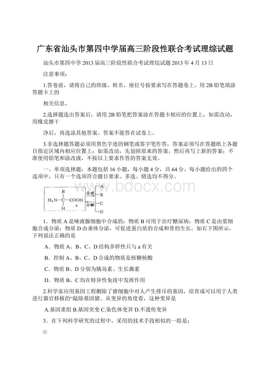 广东省汕头市第四中学届高三阶段性联合考试理综试题Word文档下载推荐.docx